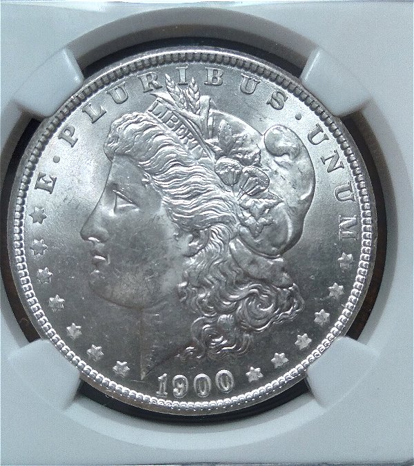 You-Vs-NGC-1881-S-And-1900-P-Morgan-Dollars